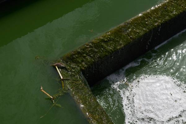 wastewater-flows-into-the-wastewater-treatment-sys-2021-09-03-14-03-51-utc wastewater-flows-into-the-wastewater-treatment-sys-2021-09-03-14-03-51-utc